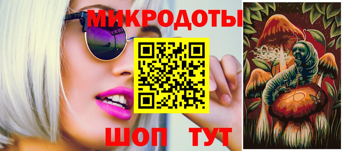 Псилоцибиновые грибы Psilocybine cubensis Артём